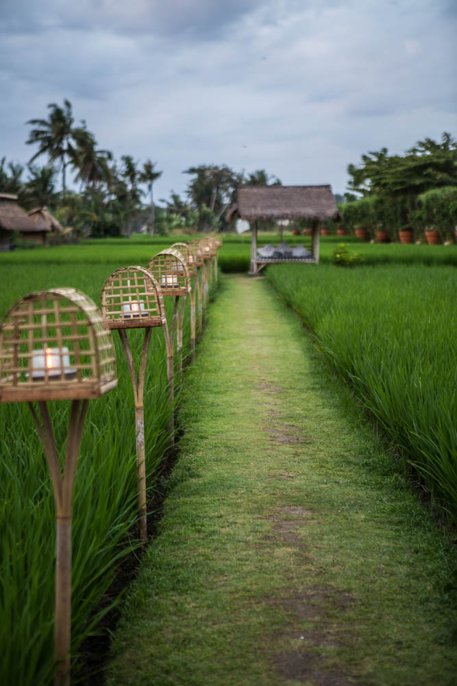 Bali Travel Guide: Part One